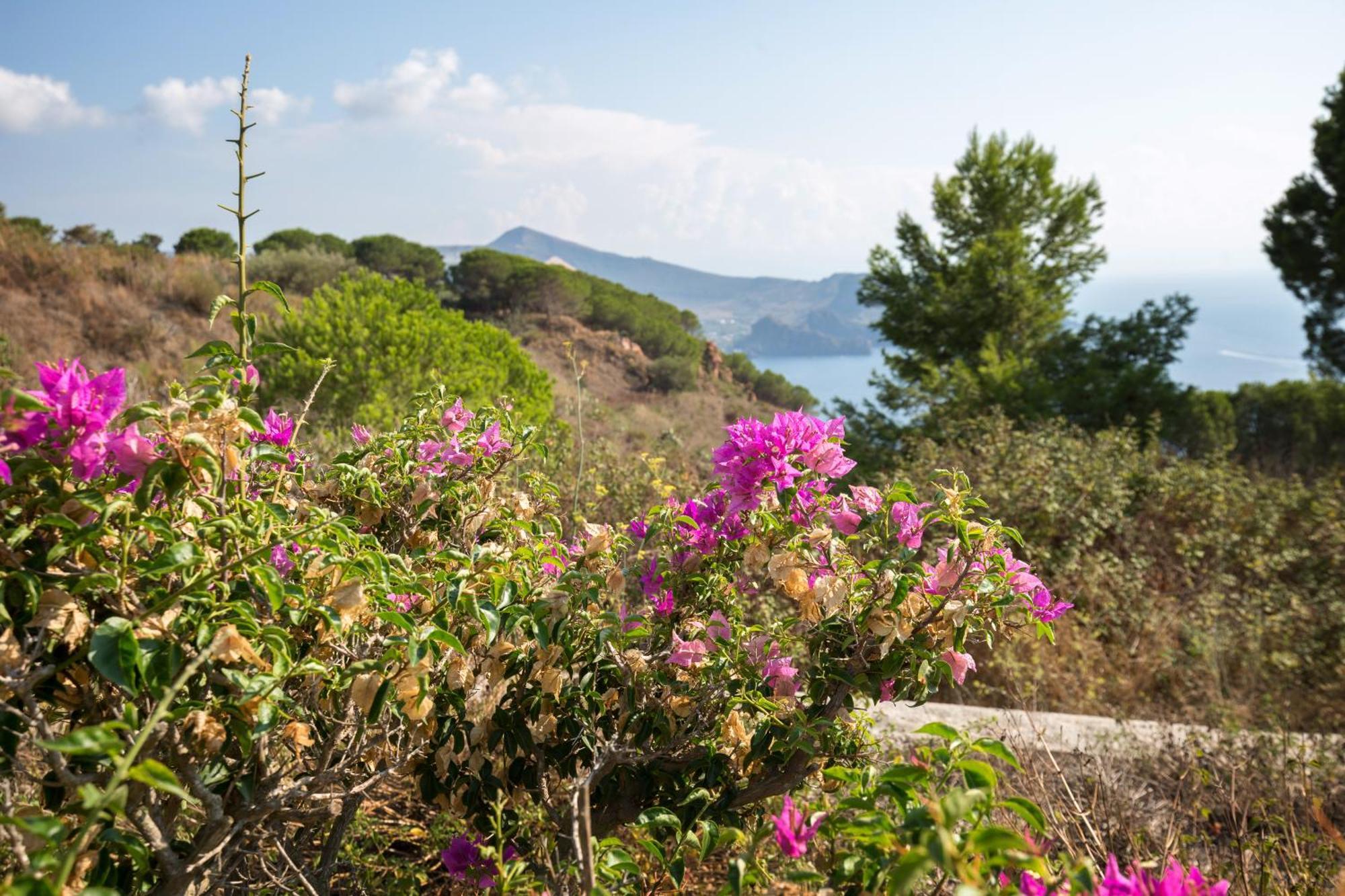 Sealight Villa Lipari - Vista E Piscina المظهر الخارجي الصورة